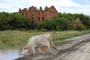 Смоленская мельница