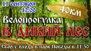 Велопрогулка по диким лесам
