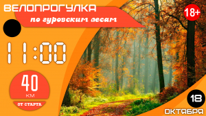 Осенняя велопрогулка по гуровским лесам