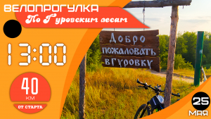 Велопрогулка по Гуровским лесам