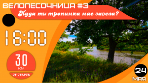 Велопесочница #3.25: Сказочный лес