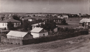 Станица Арчединская